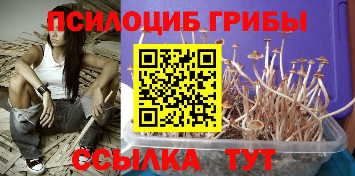 Галлюциногенные грибы Magic Shrooms  Вход с VPN  Лосино-Петровский 
